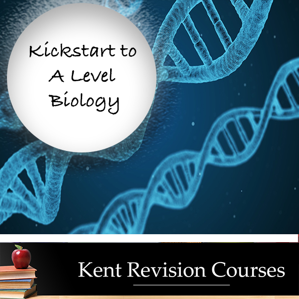 A Level Biology, Biology Tutor, Online Biology Course, Online Tutoring, A Level Revision Course
